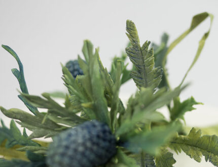 Close up of sea holly sugar flowers