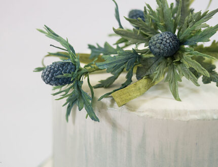 Close up of sea holly sugar flowers