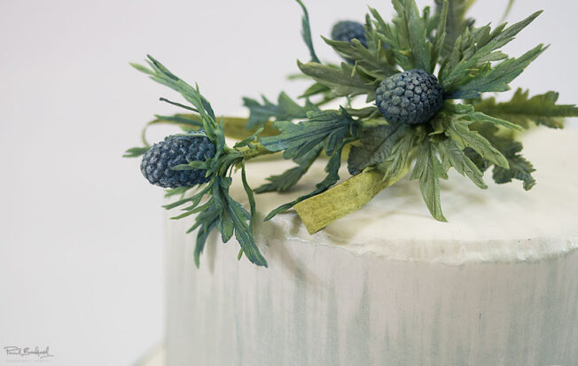Close up of sea holly sugar flowers