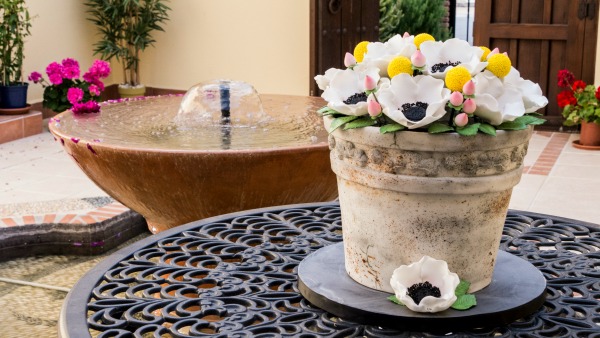 antique flower pot