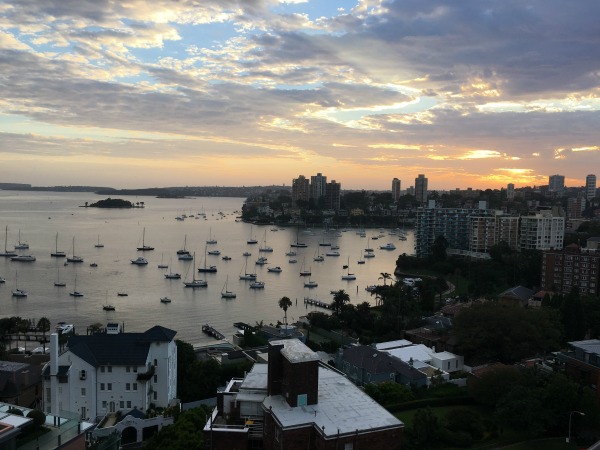 sydney hotel room