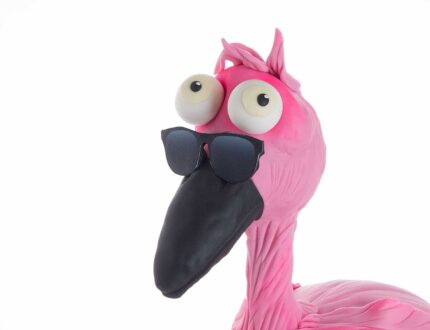 pink flamingo face