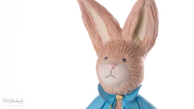 Wee-Henry-Rabbit-close-up-face