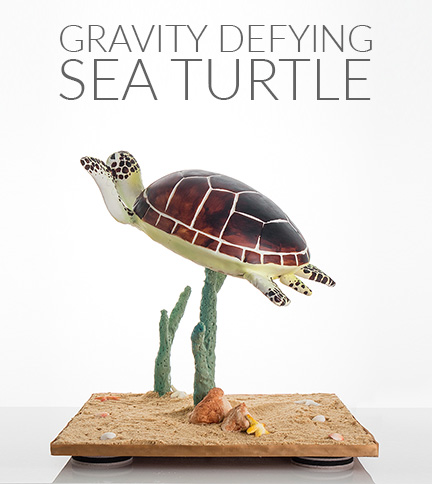 Gravity Defying Sea Turtle