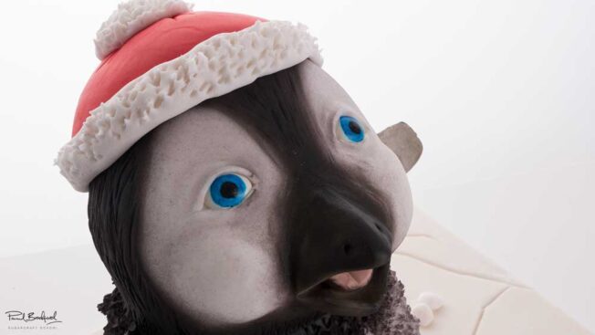close up of penguin's face