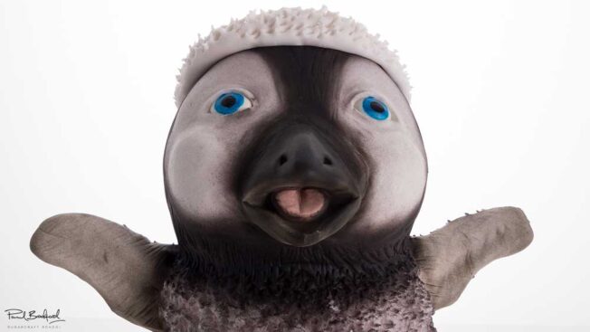 close up of penguin's face