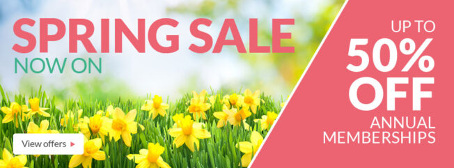 Spring sale