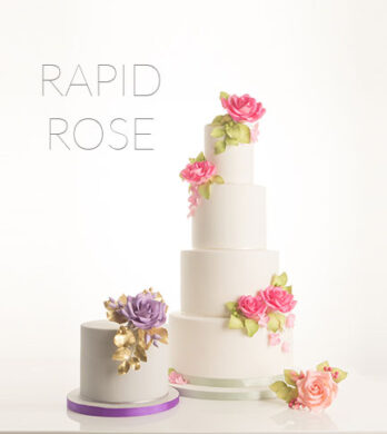 Rapid Rose