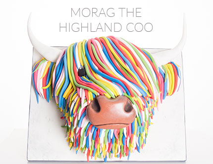 Morag the Highland Coo