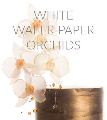wafer paper orchid