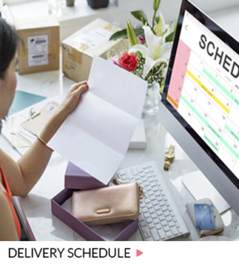 delivery schedule
