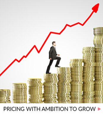 Pricing with ambition to grow