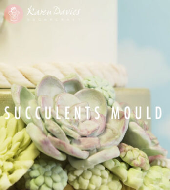 succulent mould