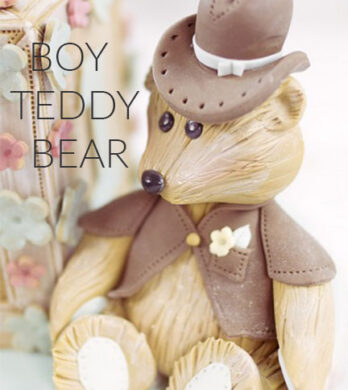 boy teddy bear