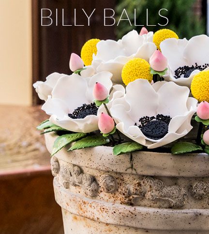 Billy balls