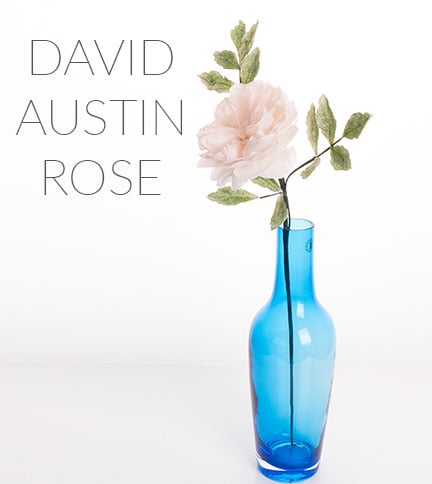 david austin rose cake tutorial