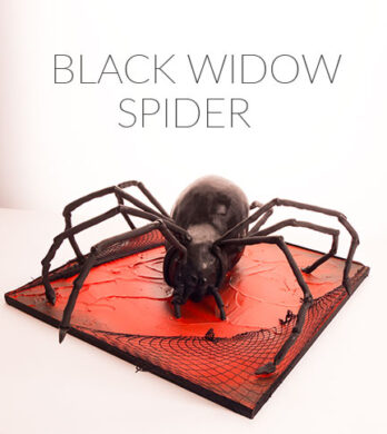 black widow spider cake tutorial