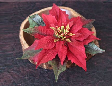 red poinsettia cake tutorial