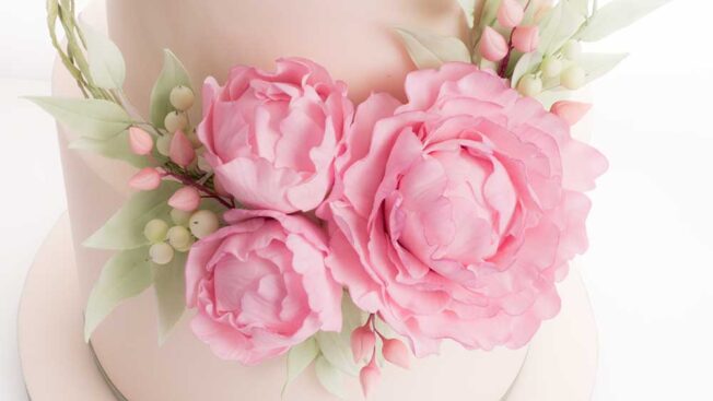 peony flower hoop - sugarflower tutorial - cakeflix