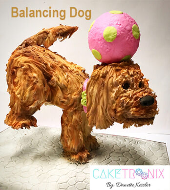 Balancing dog