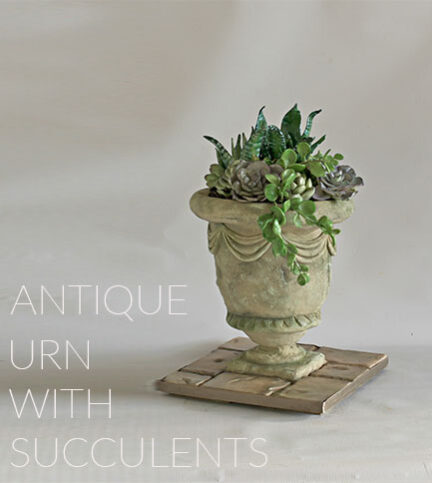 Antique Urn with Succulents