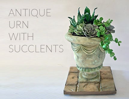 Antique Urn with Succulents