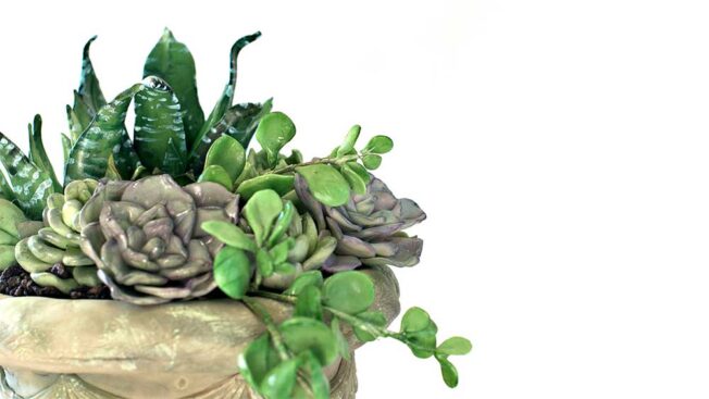 antique urn cake lesson