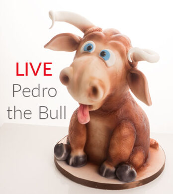 Pedro Live