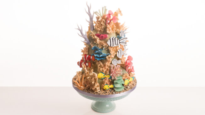 Coral Reef