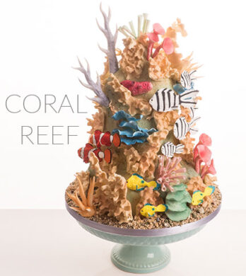 Coral Reef