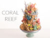 Coral Reef