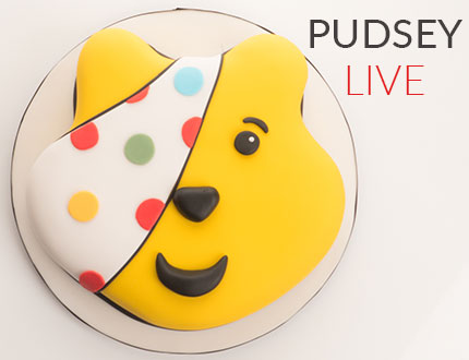 Pudsey Live