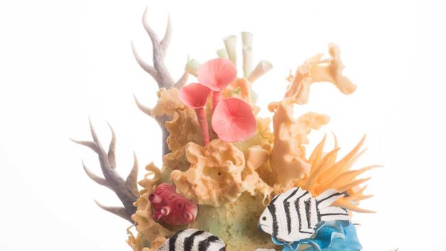 Coral Reef