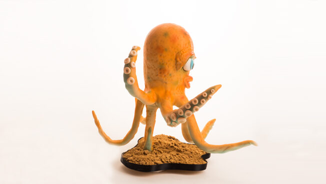Octopus Live