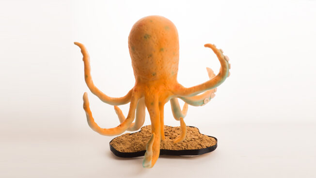 Octopus Live