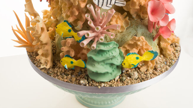 Coral Reef