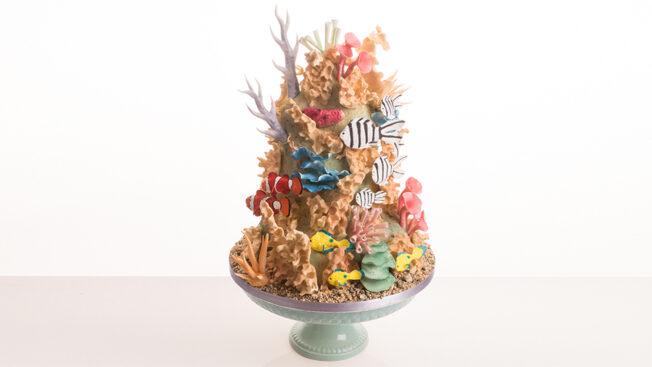 Coral Reef