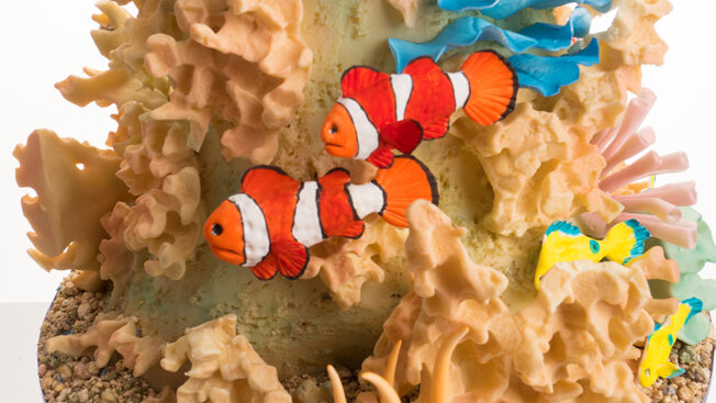 Coral Reef