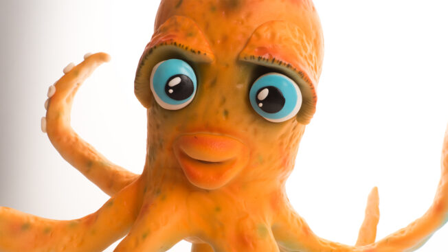 Octopus Live