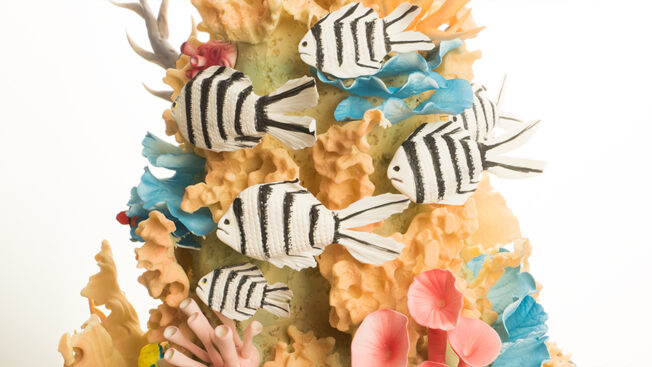 Coral Reef