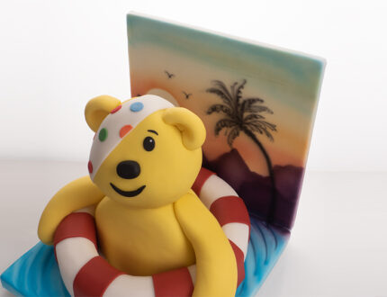Pudsey on Holiday