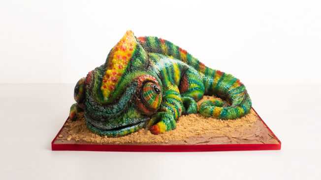 Chameleon