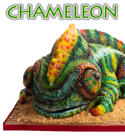 Chameleon – Bite Sized