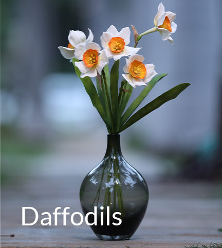 Daffodils Sugar Flower