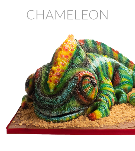 Chameleon cake tutorial