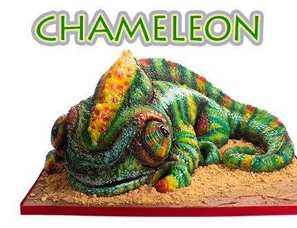 Chameleon cake tutorial