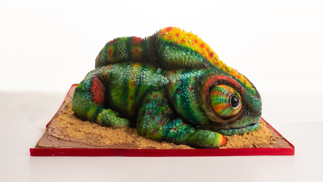 Chameleon