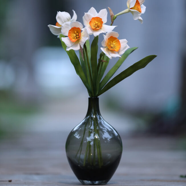Daffodils