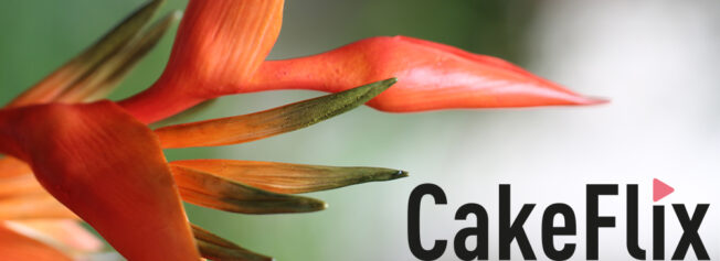 Heliconia