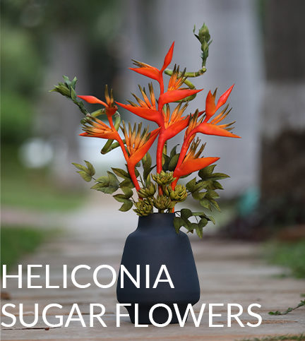 Heliconias – Bite Sized